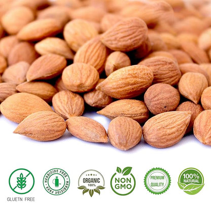 Bitter Apricot Seeds/Kernels, Natural Source of Vitamin B17, Large and Raw, Vegan, Non GMO California Grown, In a Recyclable Stay Fresh Resealable Pouch 1lb