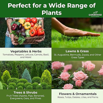 13-13-13 Slow Release Granular Fertilizer – All Purpose Plant Food 13 13 13 for Outdoor Grass, Vegetables, Roses, Flowers, Shrubs, Trees. Lawns, Gardens, Potted Plants (3 quarts)