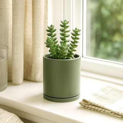 D'vine Dev Double-Layer Planter Set – Rotating Plastic Cachepot with Clear Inner Liner for Root Health, Perfect for Indoor Plants, 4.5", Olive, 73-U-C-1