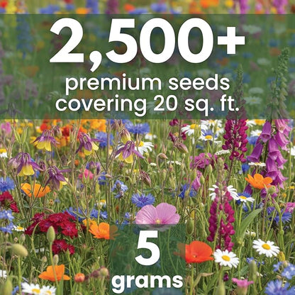 Shade Tolerant Mix – 2,500 Wildflower Seeds for Pollinator Gardens – 2026 Season – 5-Gram Pouch