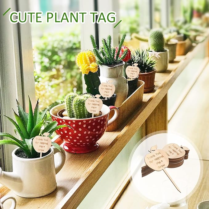 Yulejo 12 Pieces Thank You for Helping Me Grow Succulent Tags Graduation Appreciation Gifts Plant Stakes Labels Garden Wooden Sign Stakes for Baby Shower