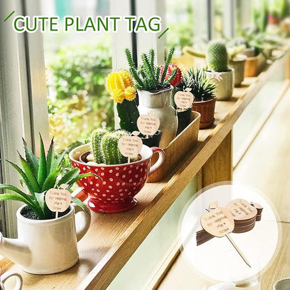 Yulejo 12 Pieces Thank You for Helping Me Grow Succulent Tags Graduation Appreciation Gifts Plant Stakes Labels Garden Wooden Sign Stakes for Baby Shower