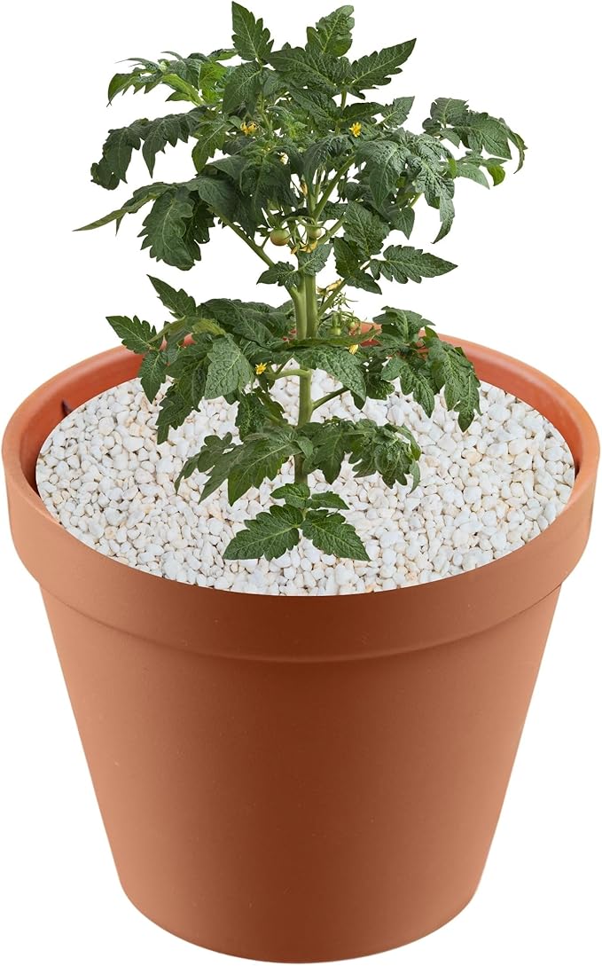 Soils, Mulches & Planting Media (Perlite, 8 Quarts), Red