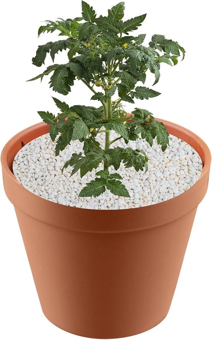 Soils, Mulches & Planting Media (Perlite, 8 Quarts), Red