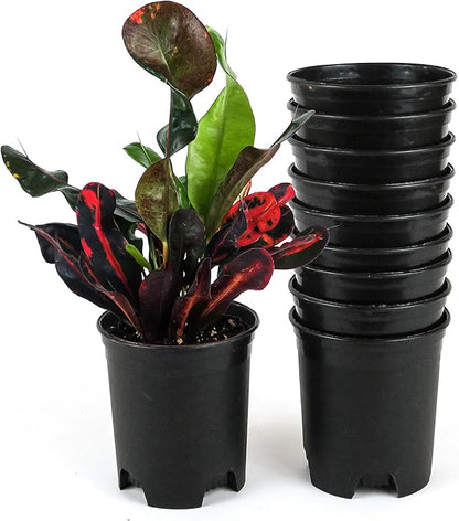 Wholesale Bulk Nursery Pot 4 Inch Black Plastic Planters 30-Pack 0.25 Gallon Pots for Outdoor Indoor Plants Gardening Flower with Drainage Holes