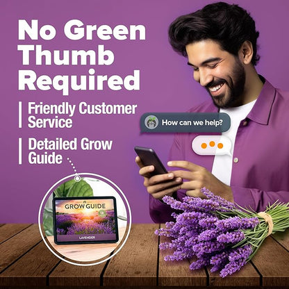 HOME GROWN Non GMO English Lavender Seeds 1,500+ Wildflower Seed for Planting Indoor/Outdoor, High Germination, Plant Flower Seeds (Lavandula antustifolia)