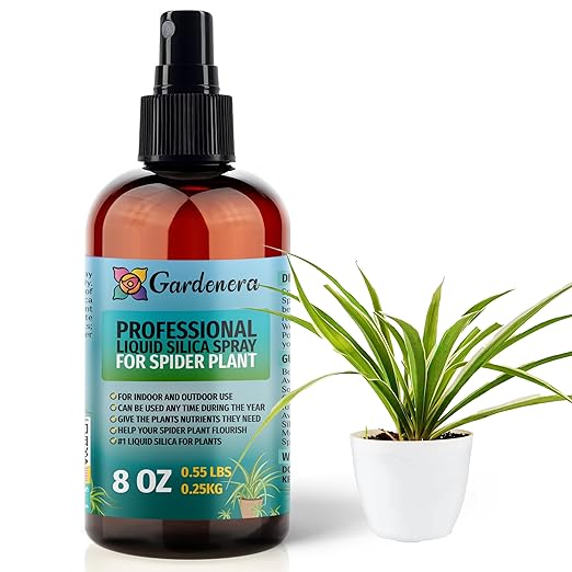 𝐒𝐔𝐏𝐄𝐑𝐈𝐎𝐑 Liquid Silica Boost Fertilizer and Supplement Spray for Spider Plants – Pre-Mixed, Ready-to-Use Liquid Silicon Plant Superfood Mist for Indoor & Outdoor Plants – 8oz