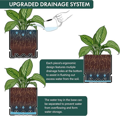 Phoenix Vine 8 Inch Planter Pot with Drainage Hole & Saucer, Deep Water Catch Tray, Straight Cylindrical Round Pot for Plants, Matte Black, Pack of 1, 23-C-T-1