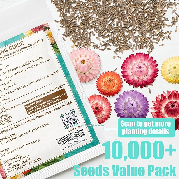 10,000+ Strawflower Seeds Mix, 9g – Heirloom Flower Seeds for Planting Outdoors, Cut Flower Seeds for Garden & Wildflower Beds, Non-GMO Color Mix Strawflower Flower Seeds