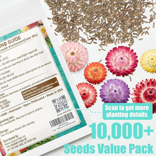 10,000+ Strawflower Seeds Mix, 9g – Heirloom Flower Seeds for Planting Outdoors, Cut Flower Seeds for Garden & Wildflower Beds, Non-GMO Color Mix Strawflower Flower Seeds