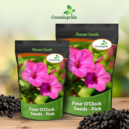 Outsidepride Pink Four O'clock Flower Seeds - 1 lb Perennial Fragrant, Trumpet-Shaped Blooms, Deer-Proof & Easy to Grow, for Pollinator & Evening Gardens, Containers, Hedges, or Borders