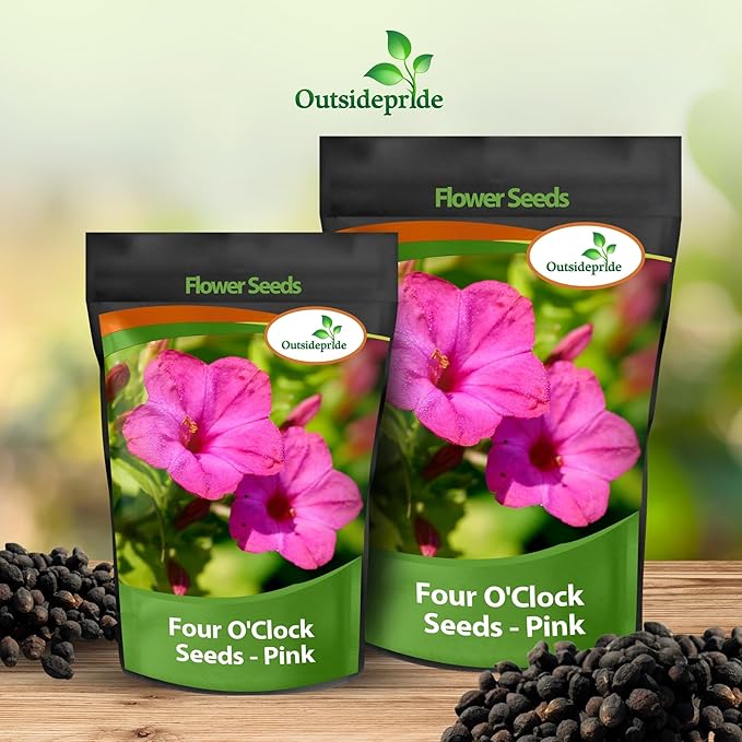 Outsidepride Pink Four O'clock Flower Seeds - 1/4 lb Perennial Fragrant, Trumpet-Shaped Blooms, Deer-Proof & Easy to Grow, for Pollinator & Evening Gardens, Containers, Hedges, or Borders