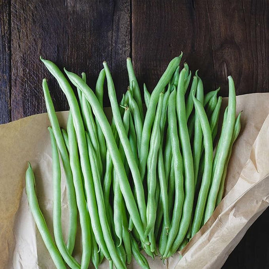 Blue Lake Bush Bean 274 Seeds - 5 Lbs - Non-GMO, Heirloom, Open Pollinated - Vegetable Garden Seeds - Green String Beans