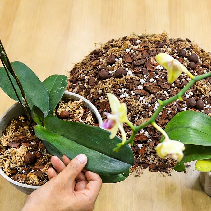 Orchid Bark Potting Mix 29QT - Orchid Soil Mix with Pine Bark, Perlite, Sphagnum Moss & Leca Clay, Fast-Draining Mix for Repotting Phalaenopsis & All Epiphytic Orchids, Indoor Orchid Mulch