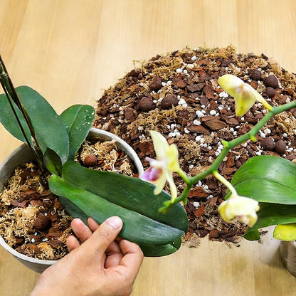 Orchid Bark Potting Mix 18QT - Orchid Soil Mix with Pine Bark, Perlite, Sphagnum Moss & Leca Clay, Fast-Draining Mix for Repotting Phalaenopsis & All Epiphytic Orchids, Indoor Orchid Mulch