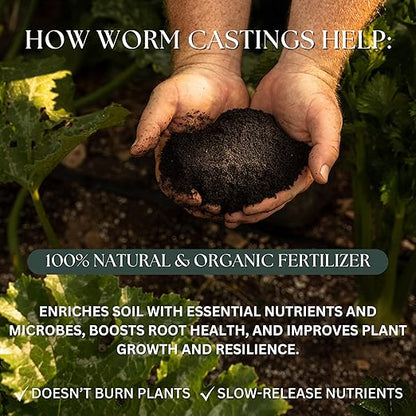 Worm Castings - Natural Fertilizer and Soil Amendment from Mindful Farmer