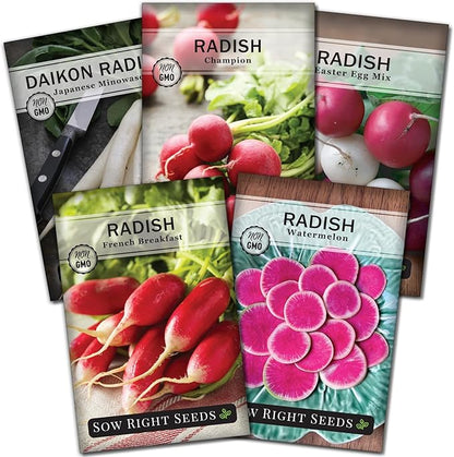 Sow Right Seeds - Radish Seed Collection for Planting - Champion, Watermelon, French Breakfast, Easter Egg Mix, and Minowase Daikon Varieties, Non-GMO Heirloom Seed to Plant Home Vegetable Garden