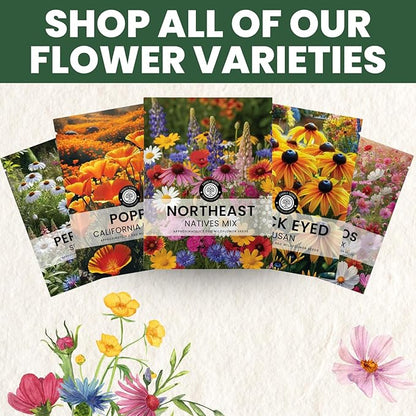 Northeast Natives Mix – 67,000 Seeds for Planting – 2026 Season – 4 Ounce Pouch