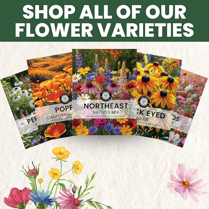 Northeast Natives Mix – 16,000 Seeds for Planting – 2026 Season – 1 Ounce Pouch