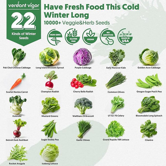22 Winter Seeds Variety Pack for Planting, Over 10,000 Vegetable Seeds, USA Grown, Heirloom, Non-GMO, for Indoor Outdoor Gardening, Lettuce, Kale, Kohlrabi, Broccoli, Spinach, Carrot and More