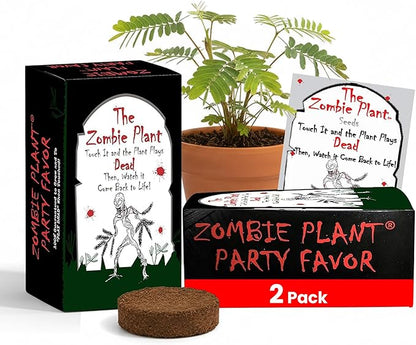 Zombie Plant Party Favors (2) Plays Dead When Touched! Includes Soil, Seeds & Mini Flower Pot. Supplies for Zombie Themed Birthday. Plant it as a Fun Indoor Science Activity