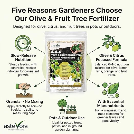 Olive Tree Fertilizer – Fruit Tree Fertilizer for Olive Tree, Citrus, Lemon, Lime, Fig, Avocado, Mango, Apple & Pomegranate – for Potted & Outdoor Trees (4 quarts - 8 lbs.)