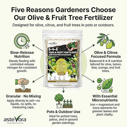 Olive Tree Fertilizer – Fruit Tree Fertilizer for Olive Tree, Citrus, Lemon, Lime, Fig, Avocado, Mango, Apple & Pomegranate – for Potted & Outdoor Trees (5 quarts - 10 lbs.)