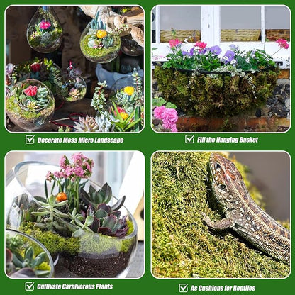 Dried Forest Moss for Plants (15 qt / 3 pcs), Sphagnum Potting Moss for Various Plants, Including Orchids, Carnivorous Plants, Succulents, Garden Flowers, and Reptiles