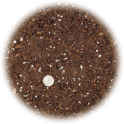 GARDENERA Premium Dracaena Soil Mix - 5 Quart - Expertly Formulated Potting Mix for Thriving Dracaena Trees and Shrubs