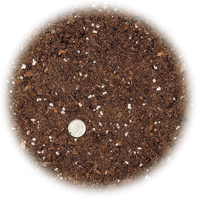 GARDENERA Premium Dracaena Soil Mix - 4 Quart - Expertly Formulated Potting Mix for Thriving Dracaena Trees and Shrubs