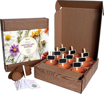 BUZZY Seeds Apothecary Garden Wellness Kit with 9 Varieties of Non-GMO Flower and Herb Seeds, Terracotta Pots, Growing Medium, and Plant Markers, a Self-Care Gift for Holistic Living