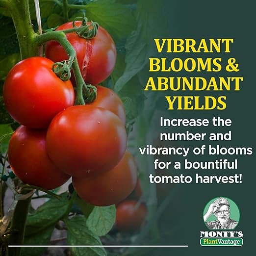 PlantVantage Concentrated Tomato Plant Food – Liquid Fertilizer with Humic Acid & Zinc, Liquid Plant Food Supporting Strong Roots, Bigger Blooms & Higher Yields, Easy Root Feed or Foliar Spray – 32 oz