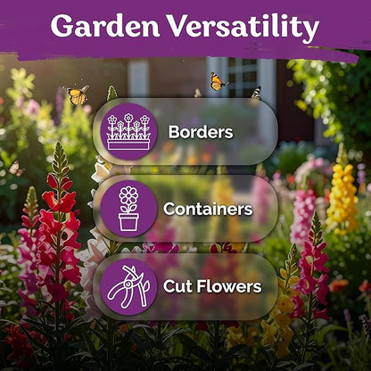 KVITER 1,500 Tetra Mix Snapdragon seeds (Antirrhinum Majus) – Heirloom & Organic Tall Snap Dragon Mix, Annual Flower Garden seeds, Cut Flower Seeds for Planting – Ideal for Outdoor Garden & Containers