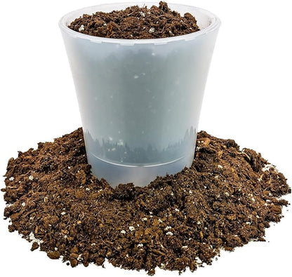 GARDENERA Premium Soil Blend for Money Trees - 20 Quart - Perfect for Growing and Repotting Guiana Chestnut (4 Bags of 5 Quart)