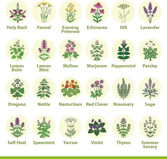 Medicinal Herb Seeds Variety Pack – 39 Heirloom Non-GMO Apothecary Seed Kit, Herbal Medicine & Tea Garden, Made in USA