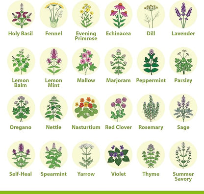 Medicinal Herb Seeds Variety Pack – 39 Heirloom Non-GMO Apothecary Seed Kit, Herbal Medicine & Tea Garden, Made in USA