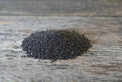 Hale Habitat & Seed Rapeseed Food Plot Seed (50 lb Bulk)