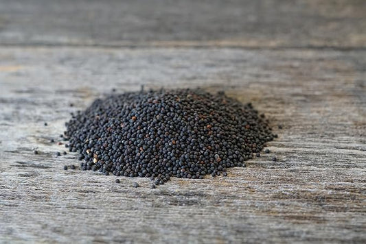 Hale Habitat & Seed Rapeseed Food Plot Seed (50 lb Bulk)