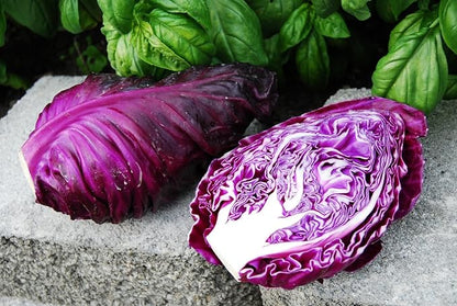 Seeds Red Kalibos Cabbage Giant Non GMO Vegetable for Planting