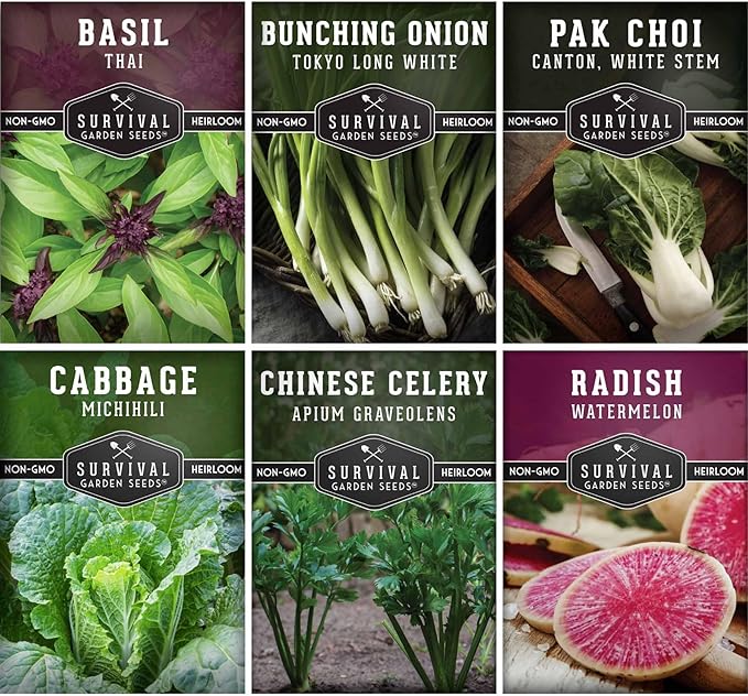 Survival Garden Seeds - Asian Vegetable Collection Seed Vault for Planting - Thai Basil, Napa Cabbage, Canton Pak Choi, Chinese Celery, Green Onions, Watermelon Radish - Non-GMO Heirloom Varieties