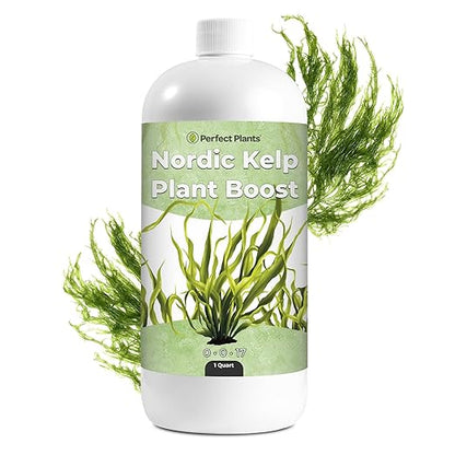 Nordic Kelp Boost Liquid - Perfect Plants (1 Quart)
