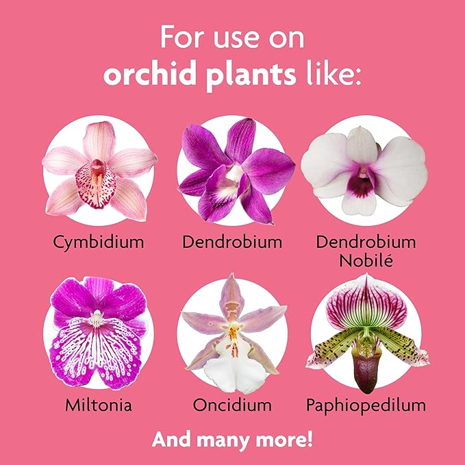 Miracle-Gro Orchid Plant Food Spikes