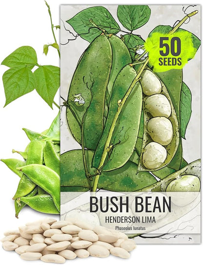 Seed Needs Lima Bean Seeds for Planting Henderson Lima Beans - Non-GMO Heirloom & Untreated Vegetable Seed to Plant a Homesteader Outdoor Veggie Garden