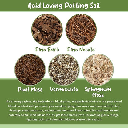 Soil Sunrise Acid Loving Plant Potting Soil Mix (12 Quarts) Premium Container Blend pH Balanced for Azaleas, Rhododendrons, Blueberries and More