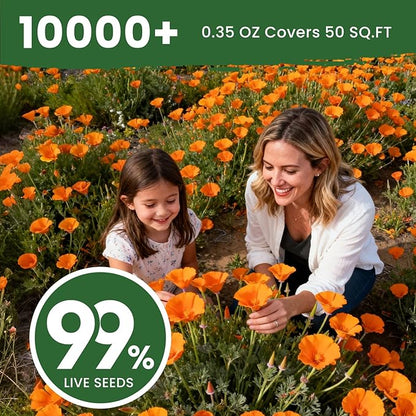 Orange California Poppy Seeds for Planting - Bulk 0.35 Ounce Packet - Over 10,000 Native Seeds - California State Flower