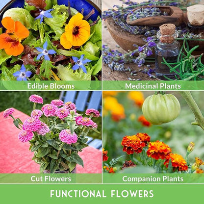 Flower Seeds Garden Kit - 36 Packs of Annual & Perennial Flowers for Planting – with Wildflowers for Pollinators, Bees, Butterflies | Heirloom Non-GMO Seed Starter Pack – Survival Garden Seeds
