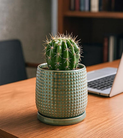 D'vine Dev 4 Inch Ceramic Beaded Stoneware Planter Pot - Flower Pot with Drainage Holes and Saucers for Indoor Succulent Plants or Flowers, Olive, 27-C-Z-0