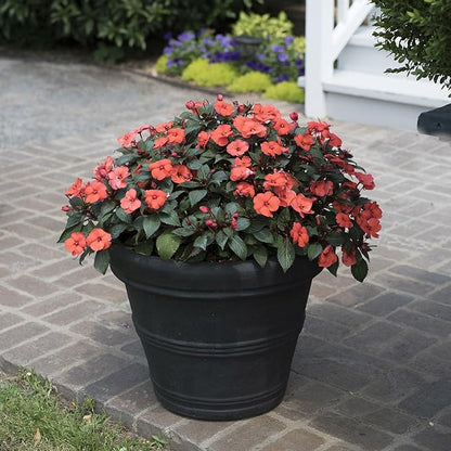 Crescent Garden Brunello Small Classic Rolled Rim Planter, Indoor/Outdoor Plastic Round Pot - Traditional Planter for Herbs, Plants, Houseplant -14''W (Black)