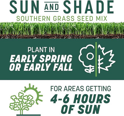 Pennington Smart Seed Sun and Shade Tall Fescue Grass Seed Mix for Southern Lawns 7 lb