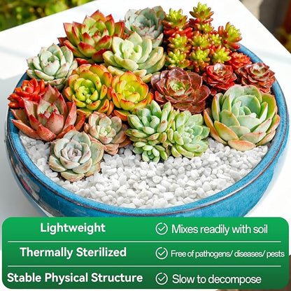 ZeeDix 3QT Organic Perlite Horticulture Soil Amendment for Plants, 3-9mm Granule Size Potted Plant Soil for Orchid Cactus Succulents Carnivorous Monstera Repotting, Indoor Outdoor Gardening